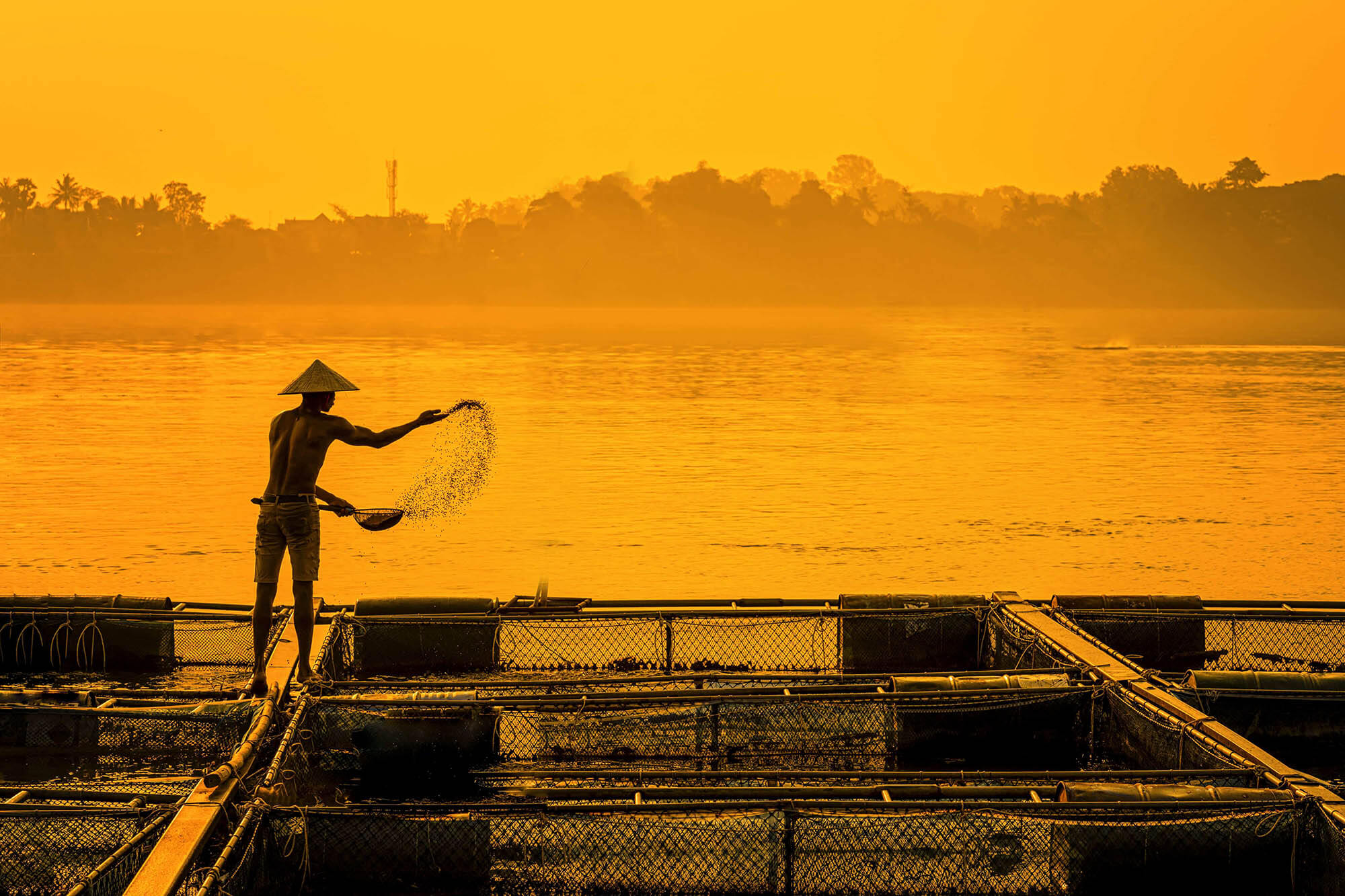 Aquaculture farmer