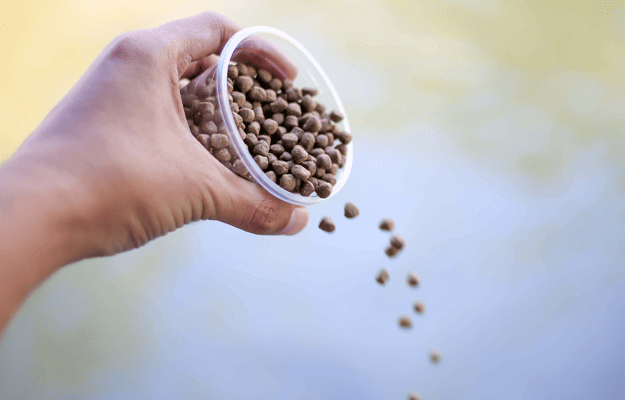 A glimpse into Aquafeed Manufacturing