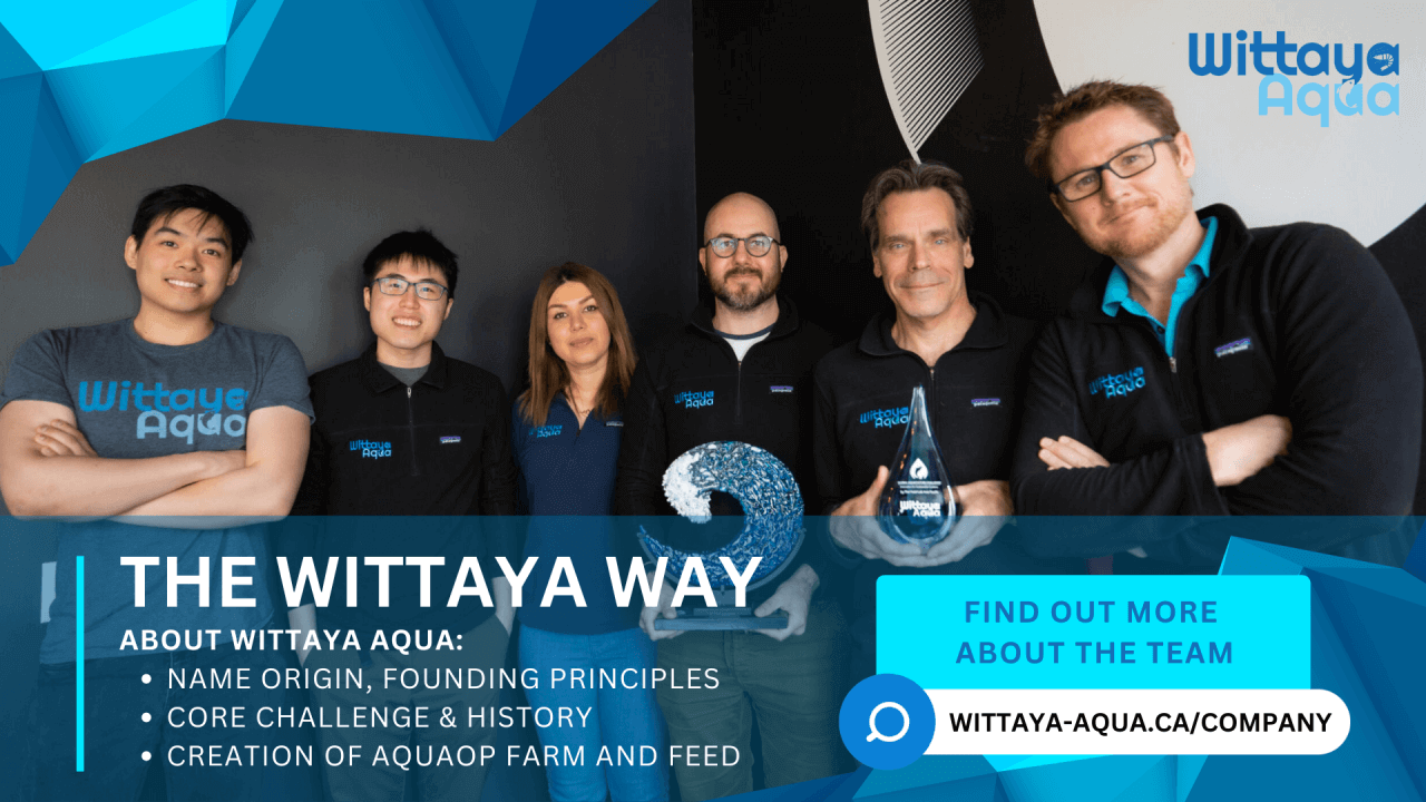 The Wittaya Way