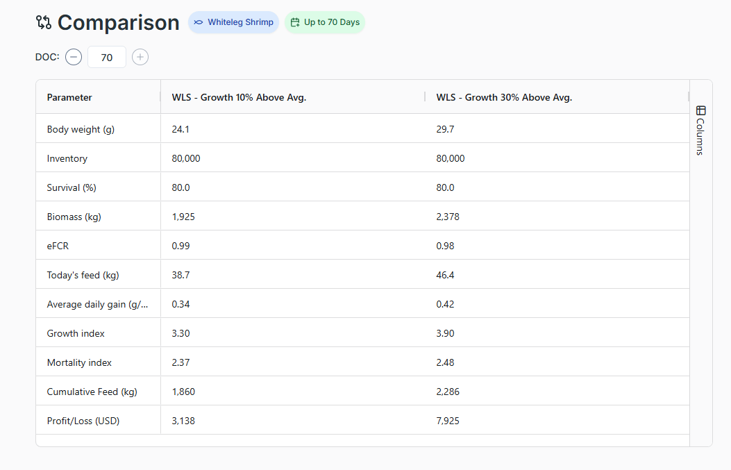 Data dashboard illustration