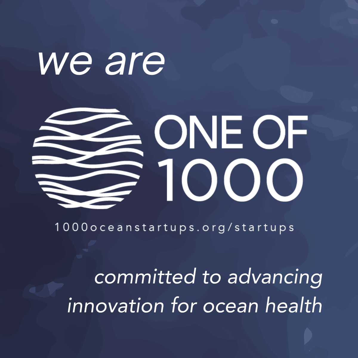 1000 Ocean Startups recognition badge